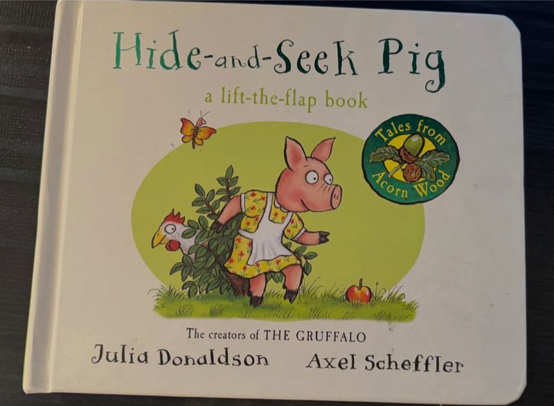 Hide And Seek Lift Flap Book