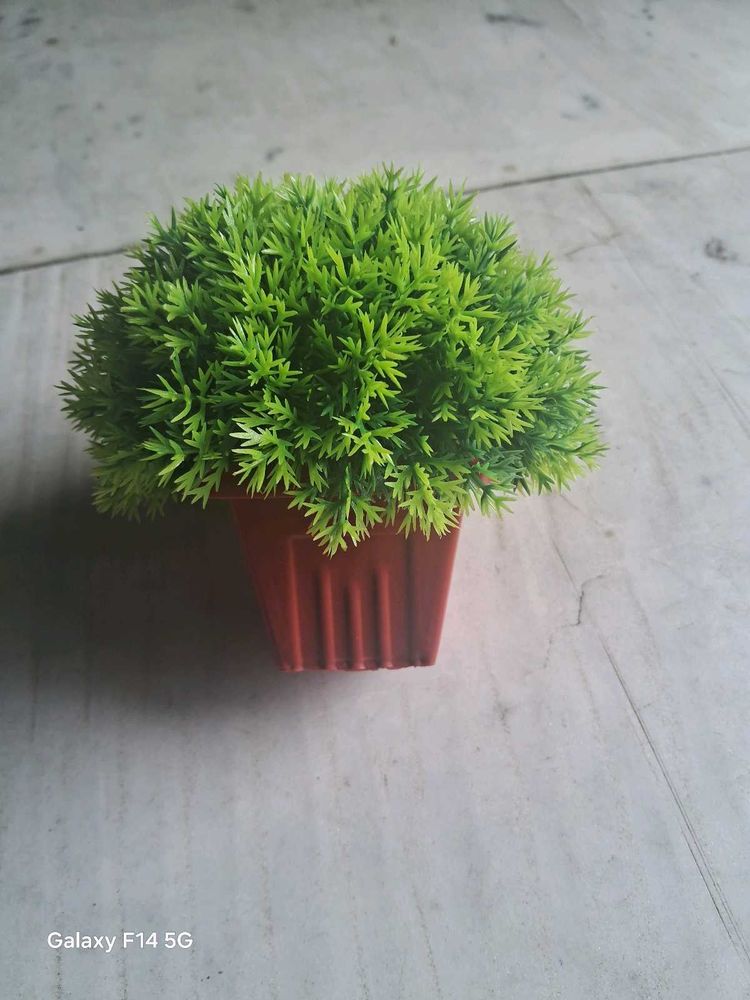 Plastic Tree For Aquariums [* Note Only One Piece]