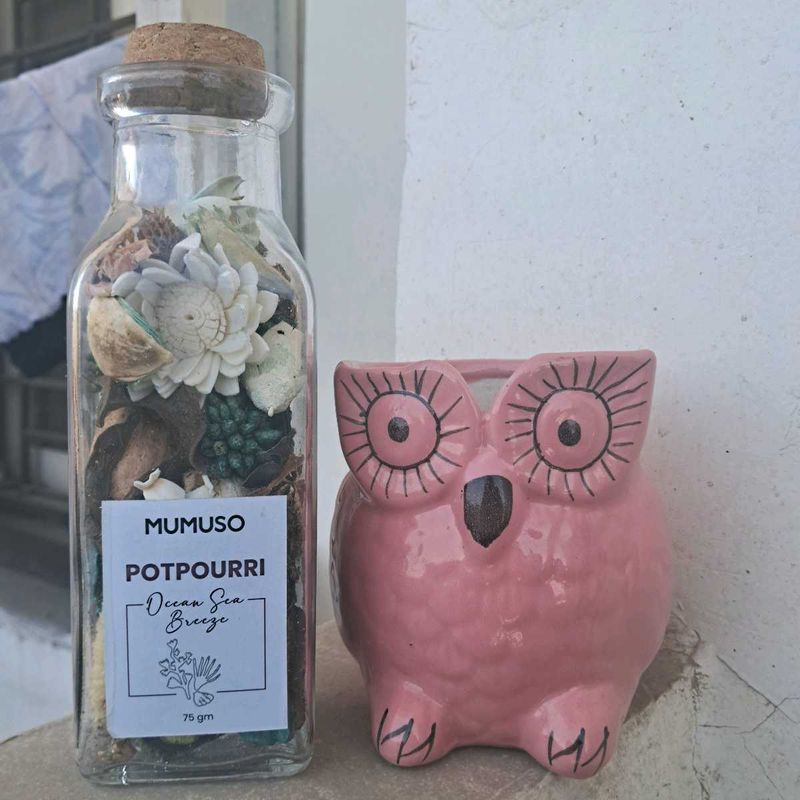 Combo Mumuso Room Breezer/Freshner And Flower Pot