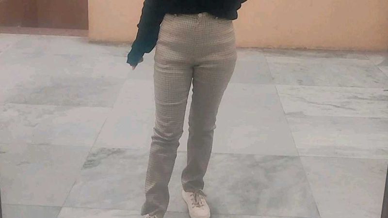 High Rise Beautiful Trousers With Pin Checks