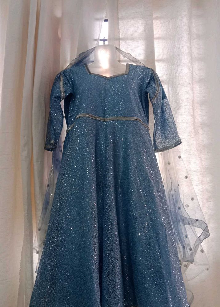 Elegant Blue Ethnic Gown