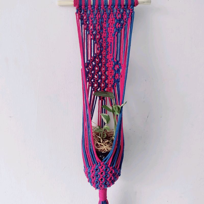 Macrame Plant Hanging