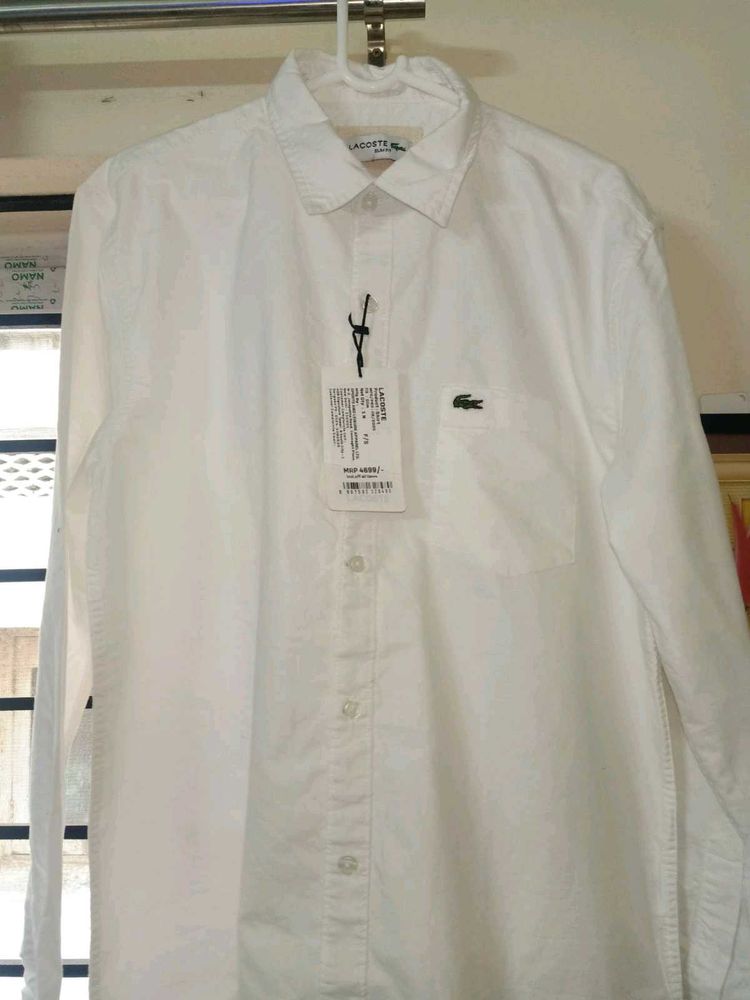 NEW LACOSTE OXFORD COTTON WHITTE SHIRT