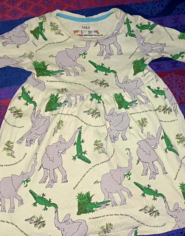 Girls Frock