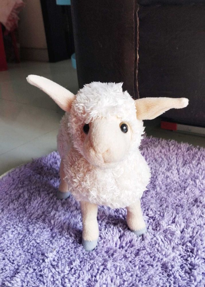 Real Sheep Toy