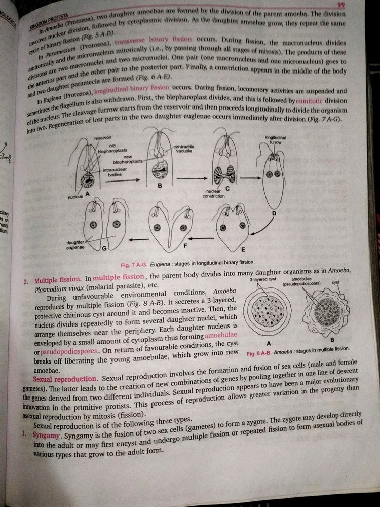 Nootan ISC Class 11th Biology Textbook