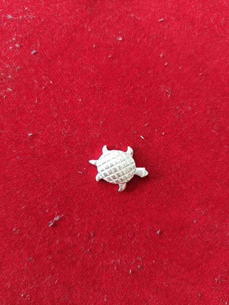 Pure Silver Lizard Nd Tortoise Fir Laxmi Pooja.