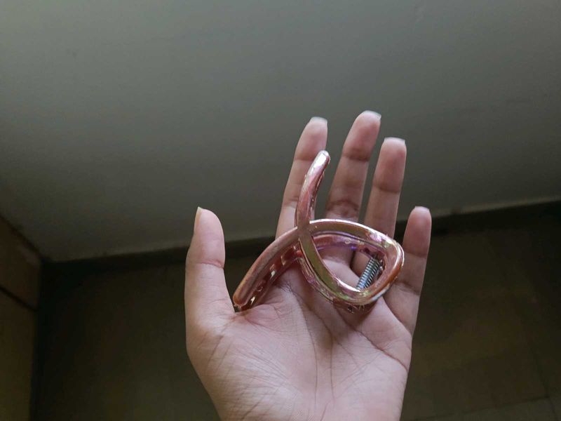 Hair Clip Claw