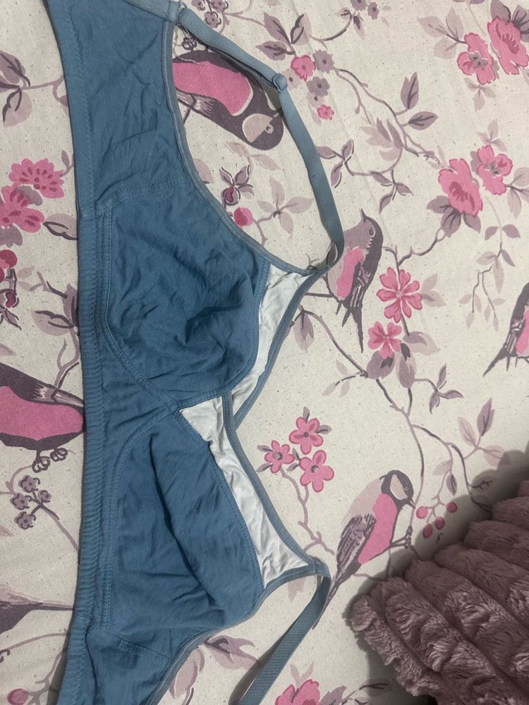 Dressberry Casual Blue Bra, Bust- 38 C