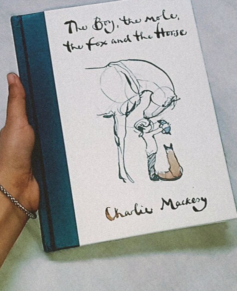 The Boy, The Mole, The Fox And The Horse Book