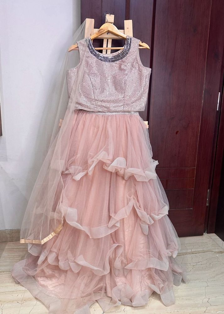 Elegant flared Net Lehenga Choli
