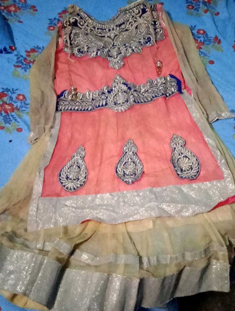 Embroidered Indian Outfit