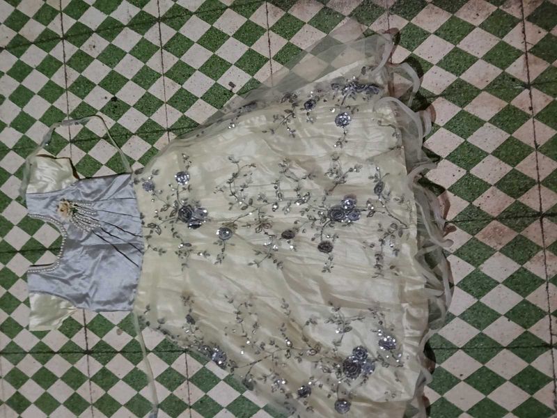 Elegant Silver &amp; Cream Ethnic Gown