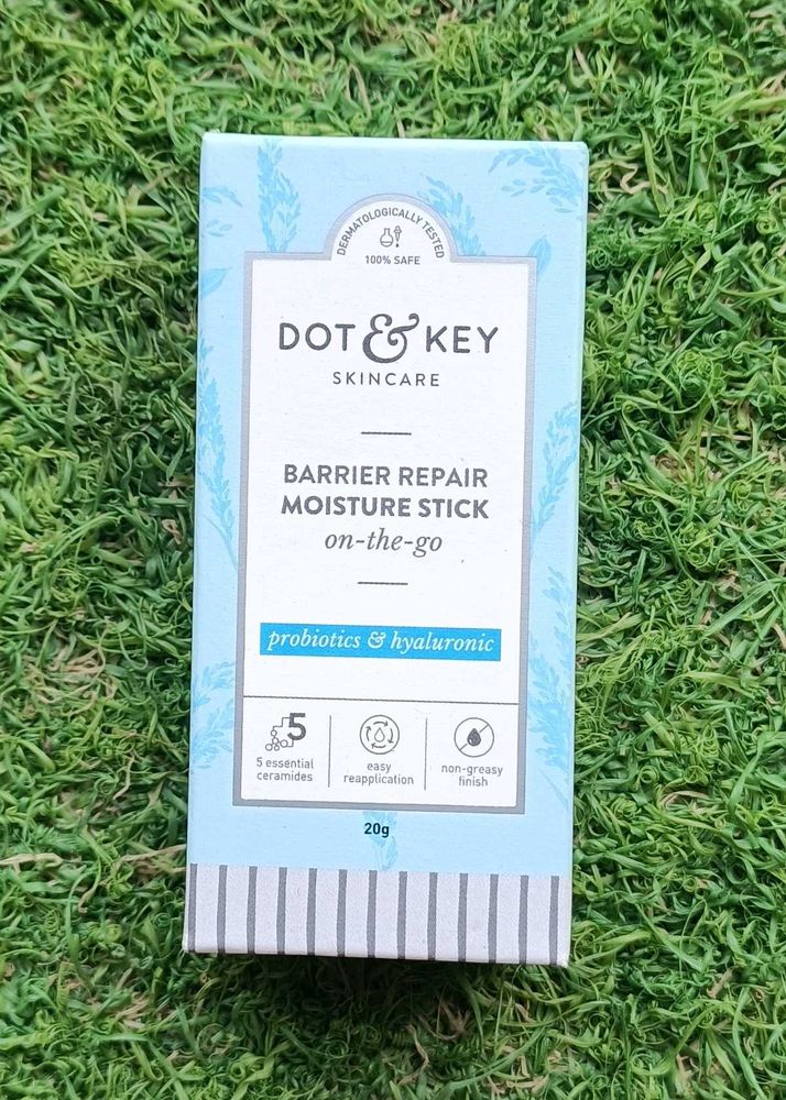 Dot &amp; Key Barrier Repair Moisture Stick