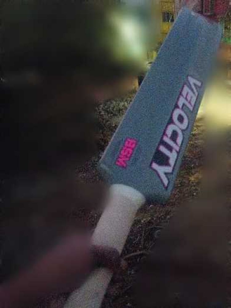 BSM Velocity Cricket Bat