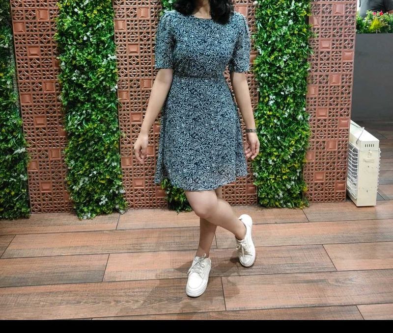 Floral Print Fit &amp; Flare Dress