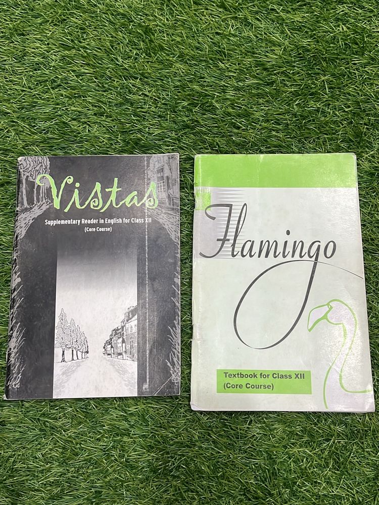 Class 12 - Vistas And Flamingo