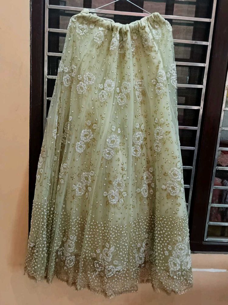 Embroidered Tulle Skirt