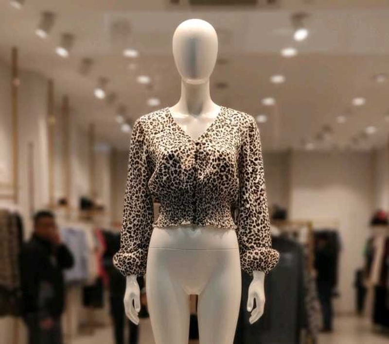 Leopard Print Long Sleeve Top