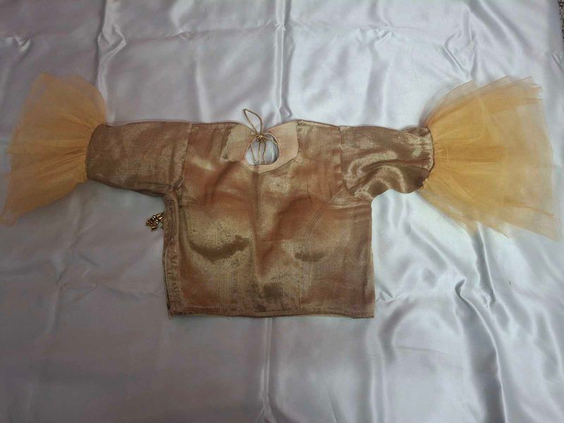 Golden Blouse with Net Sleeves