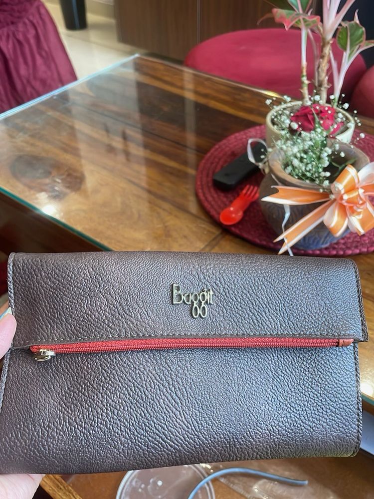 Baggit Purse
