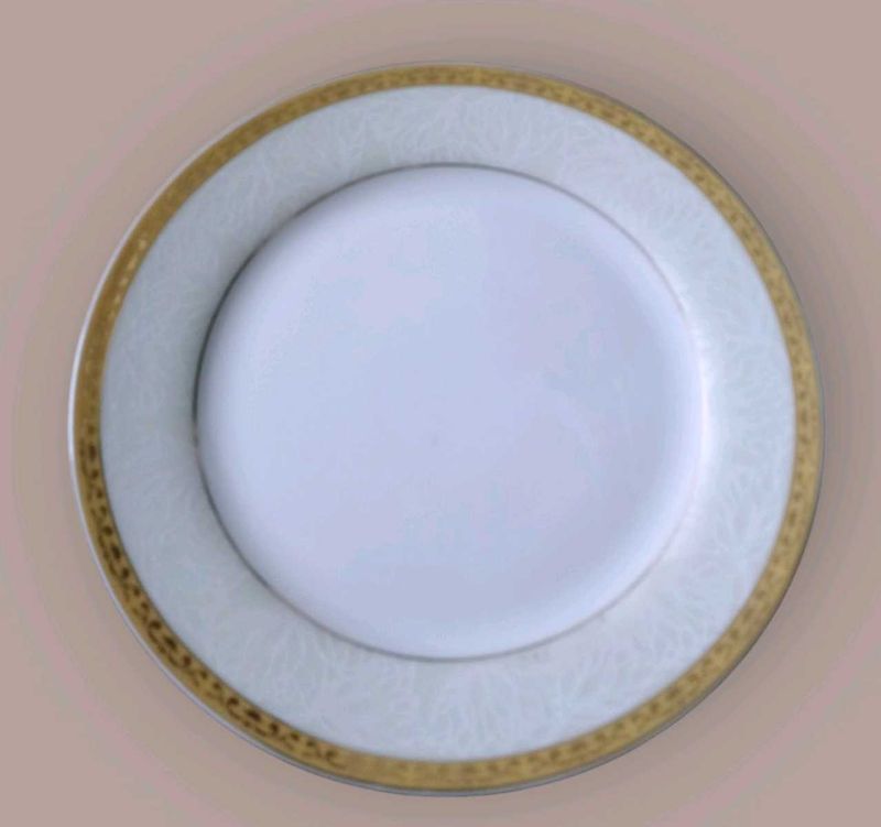 Elegant Dinner Plate Medium Size 6 Piece