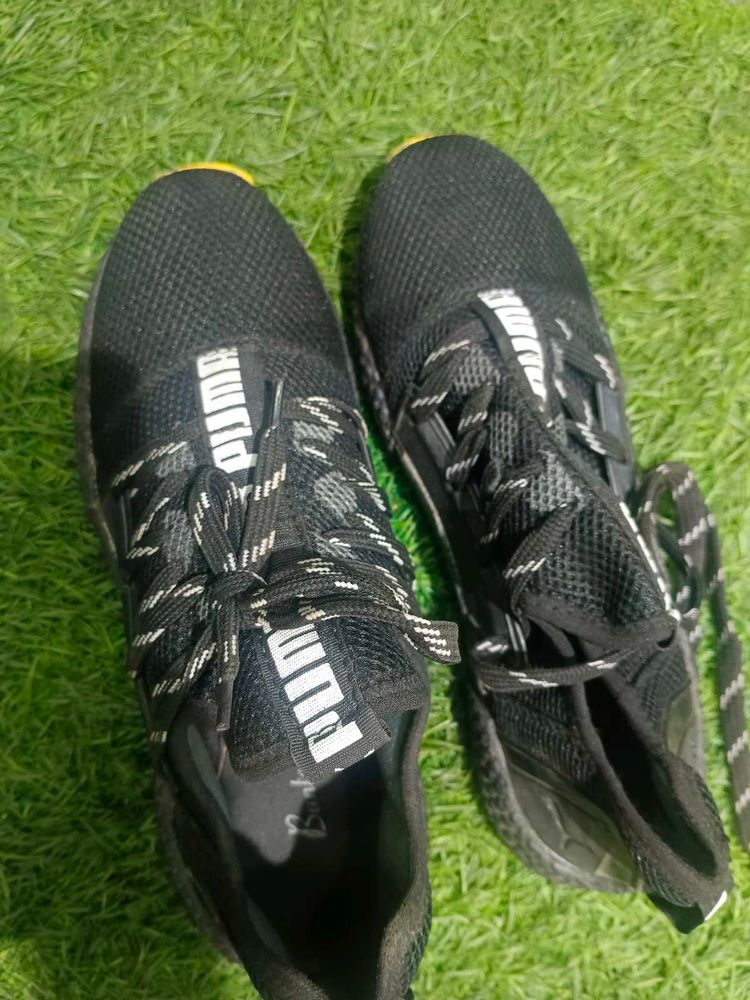Puma Sneakers