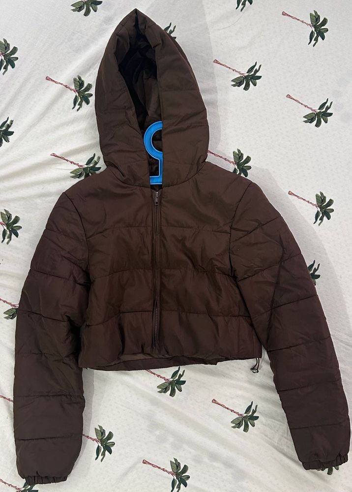 URBANIC Brown Cropped Puffer Jacket