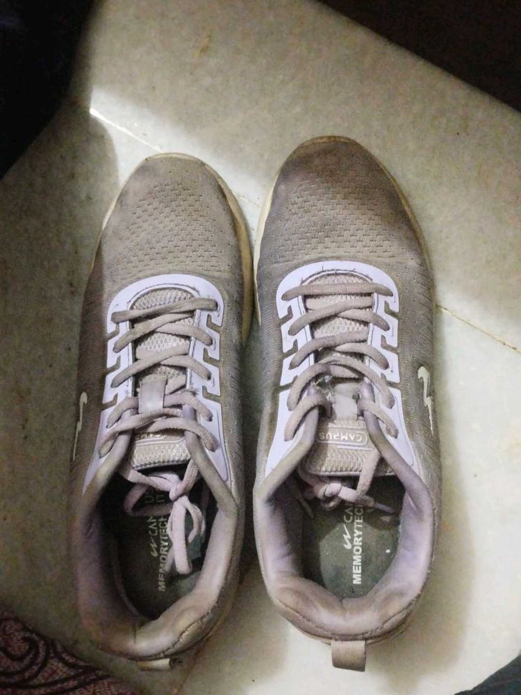 campus shoes