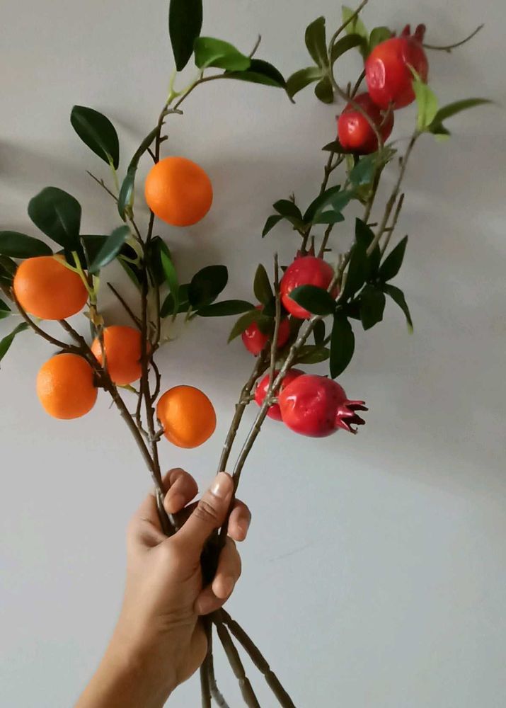 Home Centre&#39;s  Orange And Pomegranate Sticks
