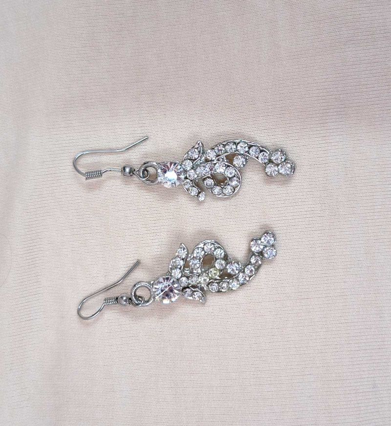 Sparkling Silver Earrings