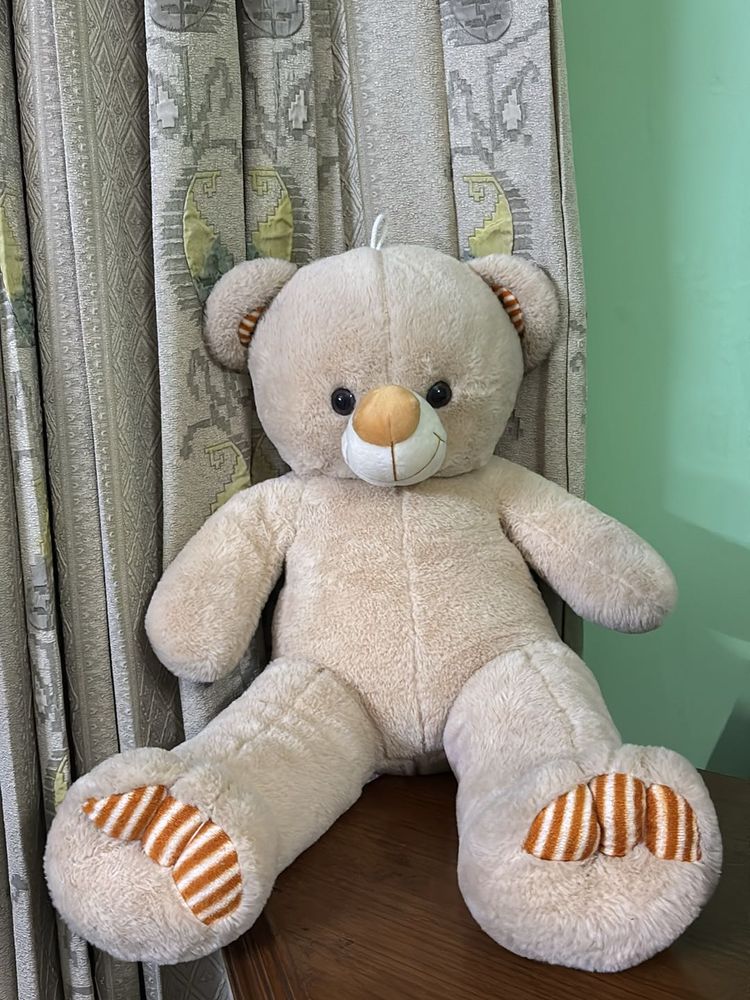 TEDDY TOY