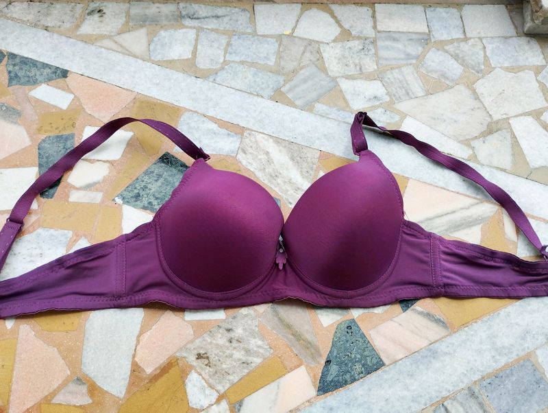 Lightly Padded Wireless Bra