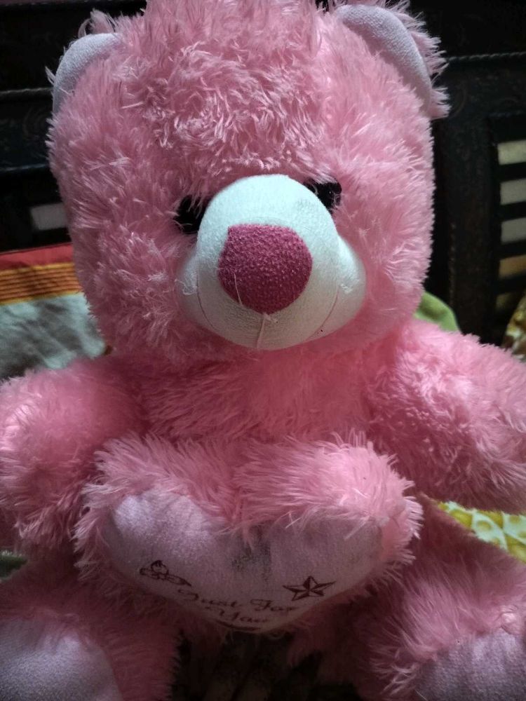 Pink Teddy Bear