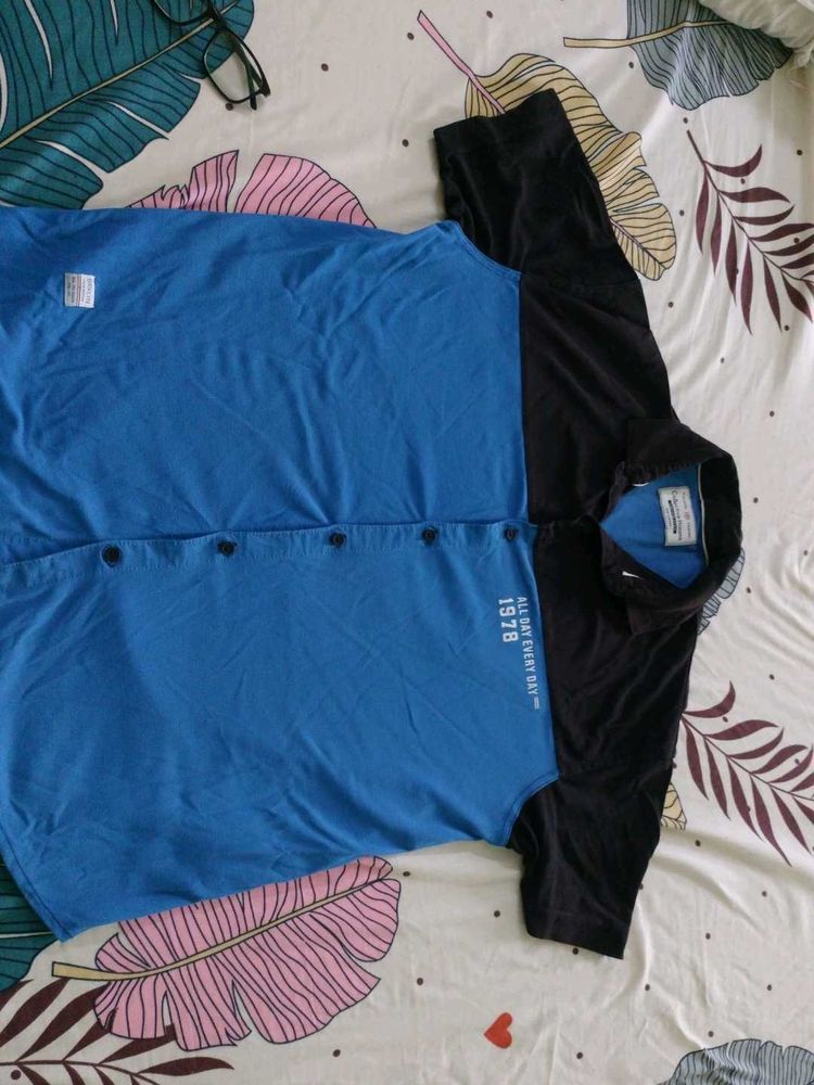 casual T shirt with blue and black color combinati