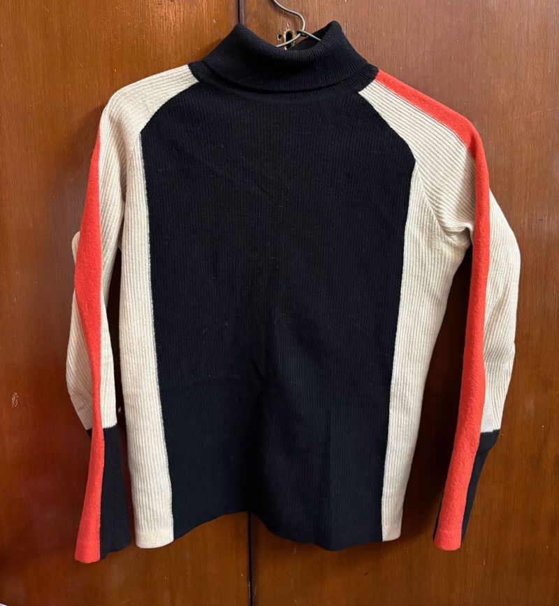 Colorblock Turtleneck Sweater