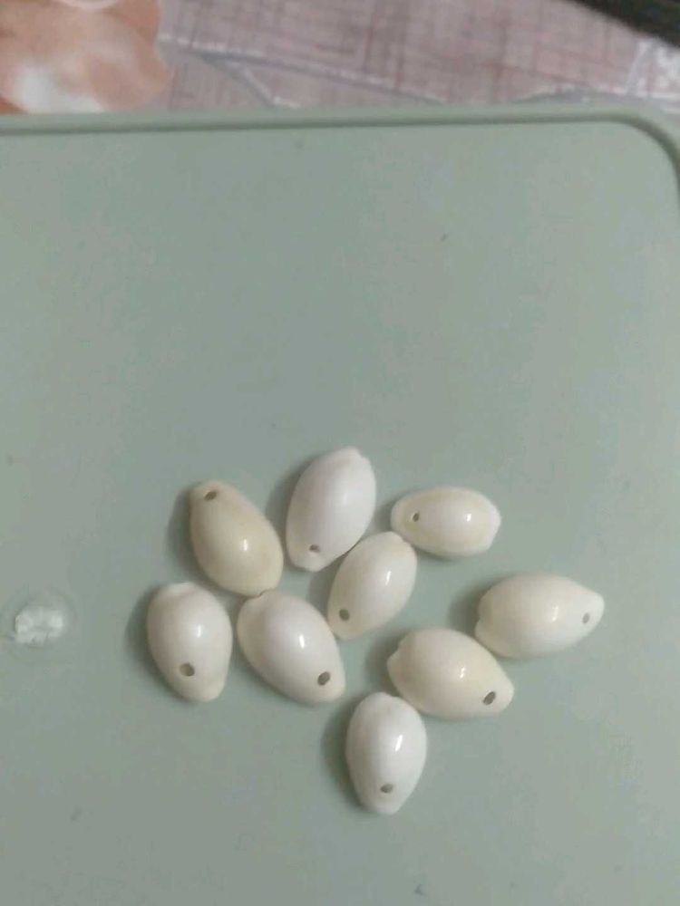 Cowrie Shell Beads