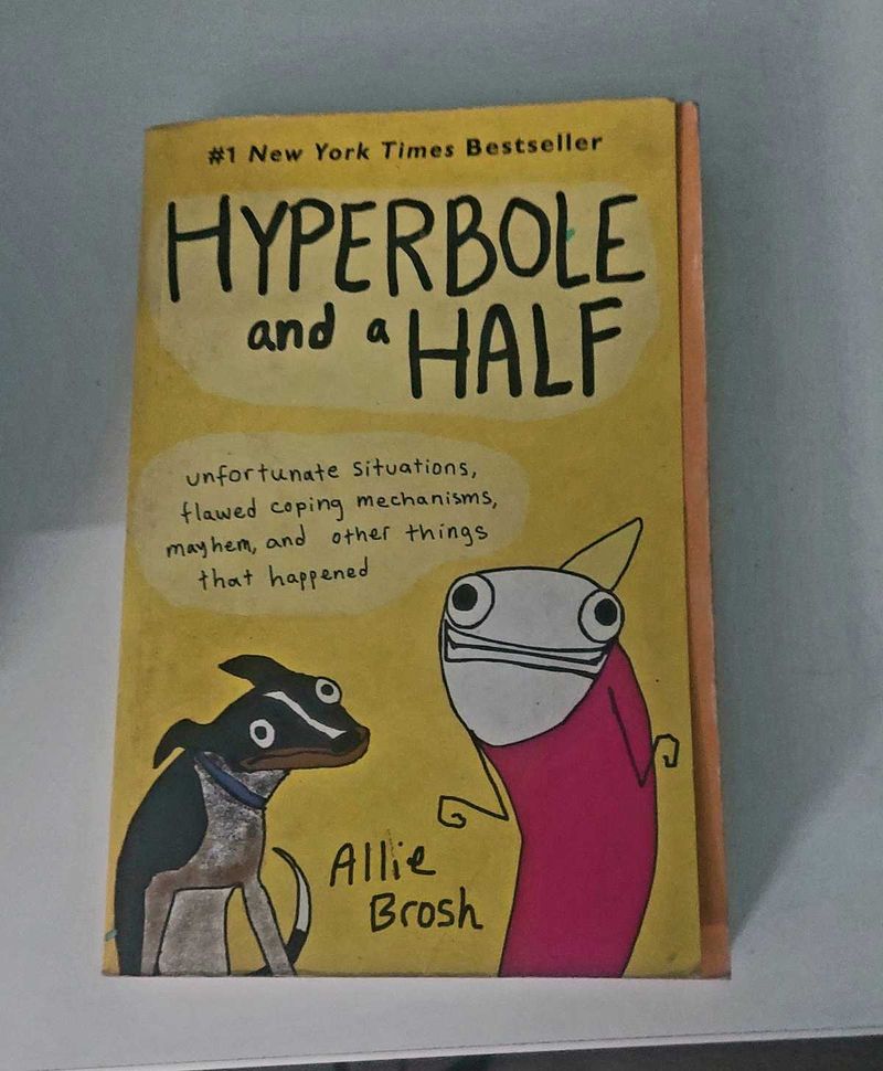Hyperbole and a half