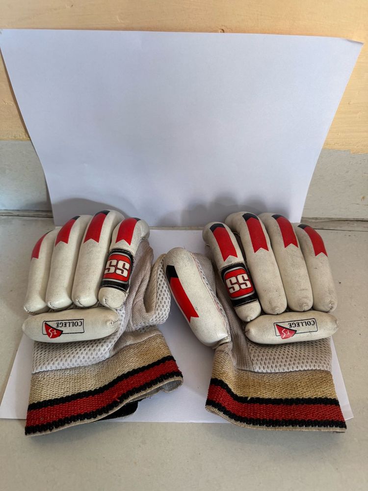 SS Cricket Batting Gloves