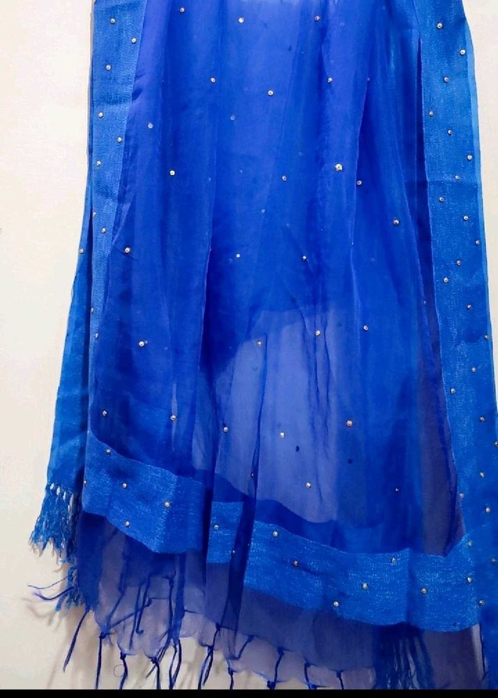 Beautiful Blue 🔵 Net Dupatta