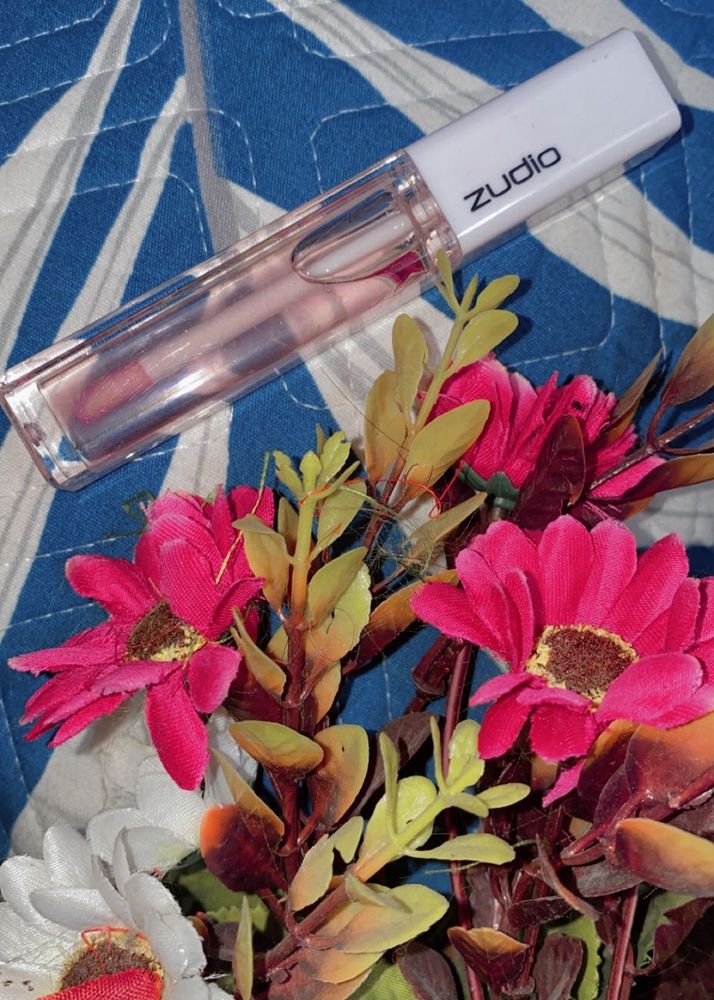 Zudio Lip Gloss