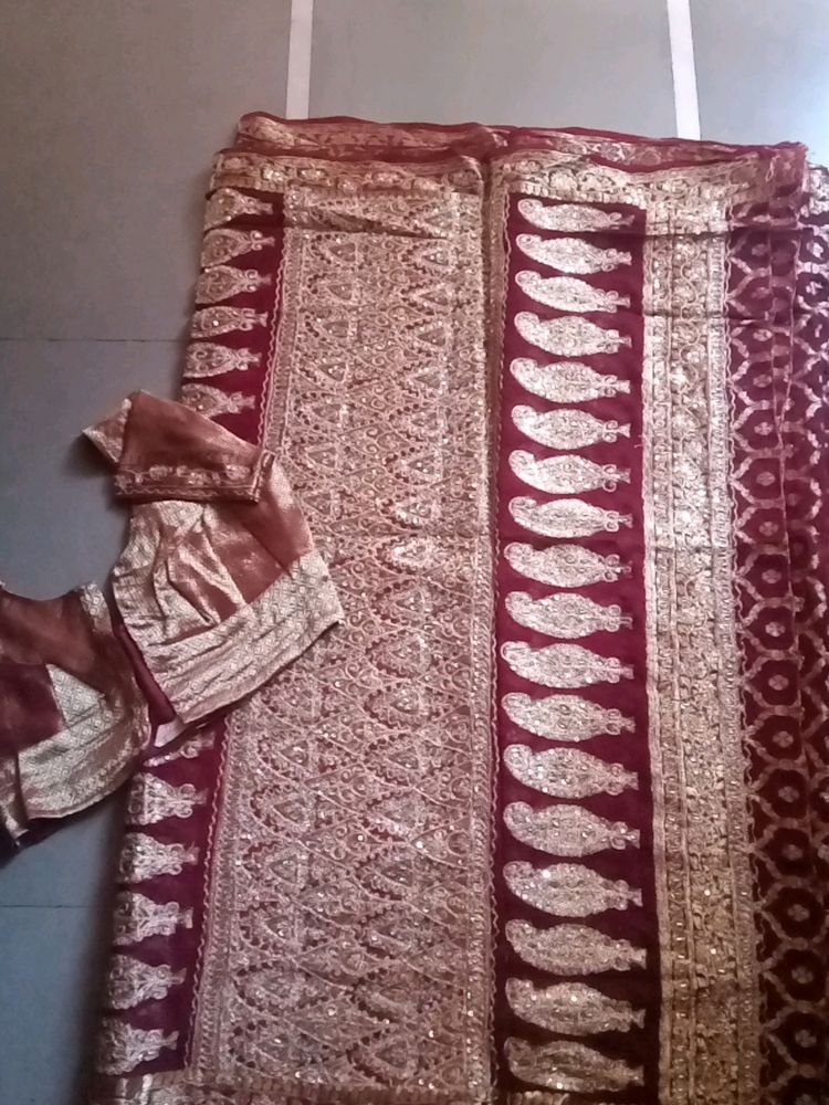 Bridal Designer Saree And Blouse