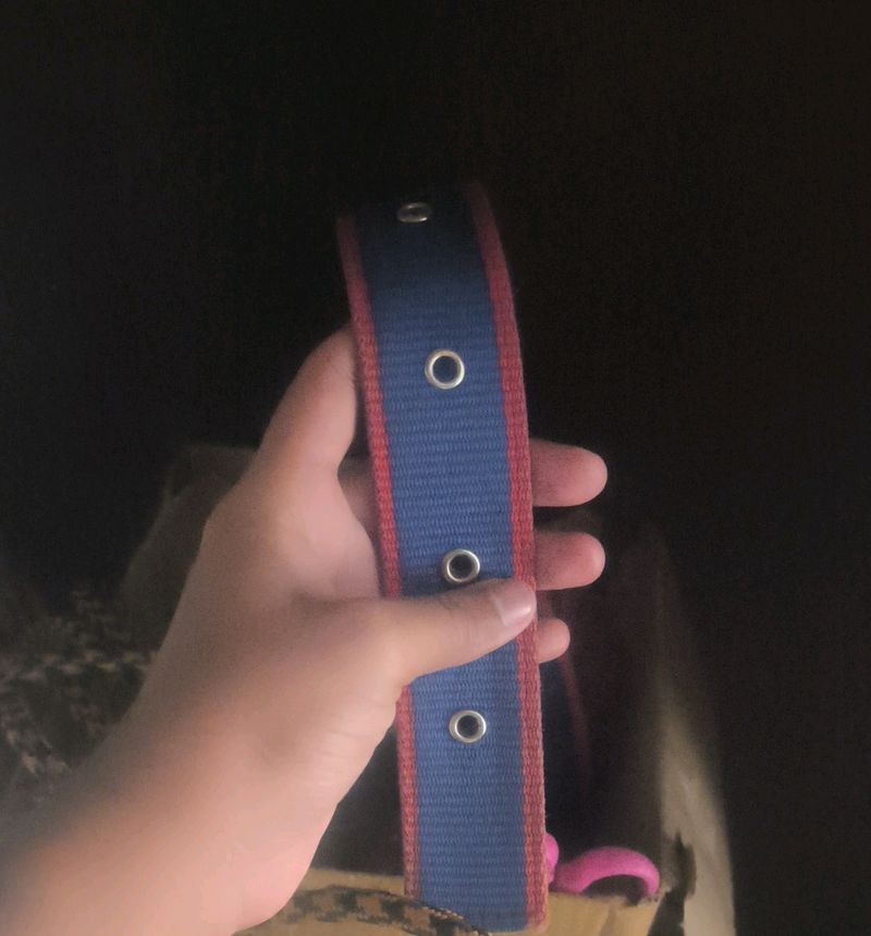 Dog Collar