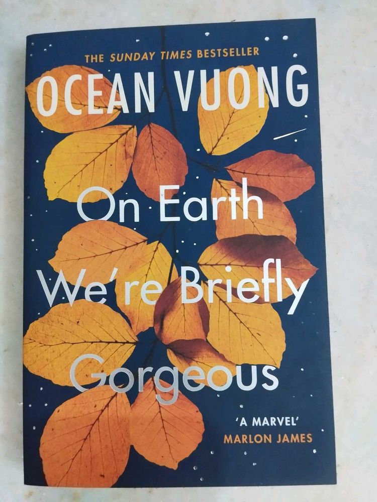 On Earth We’re Briefly Gorgeous
