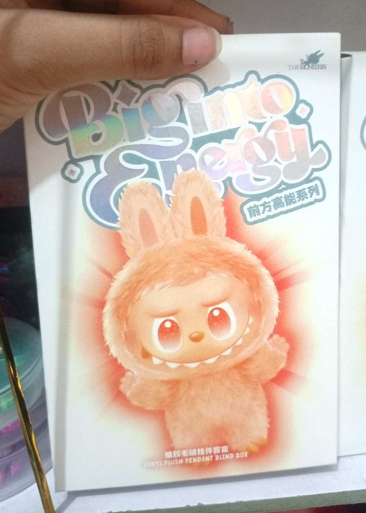 The Labubu Blind Box