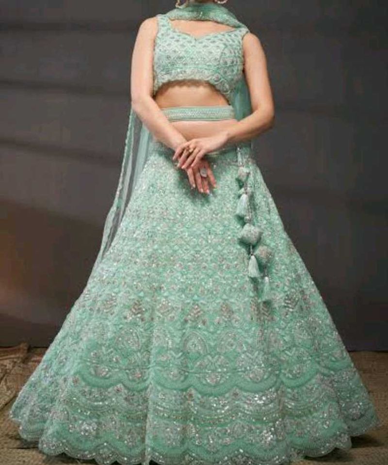 Mint Green Embellished Lehenga Choli