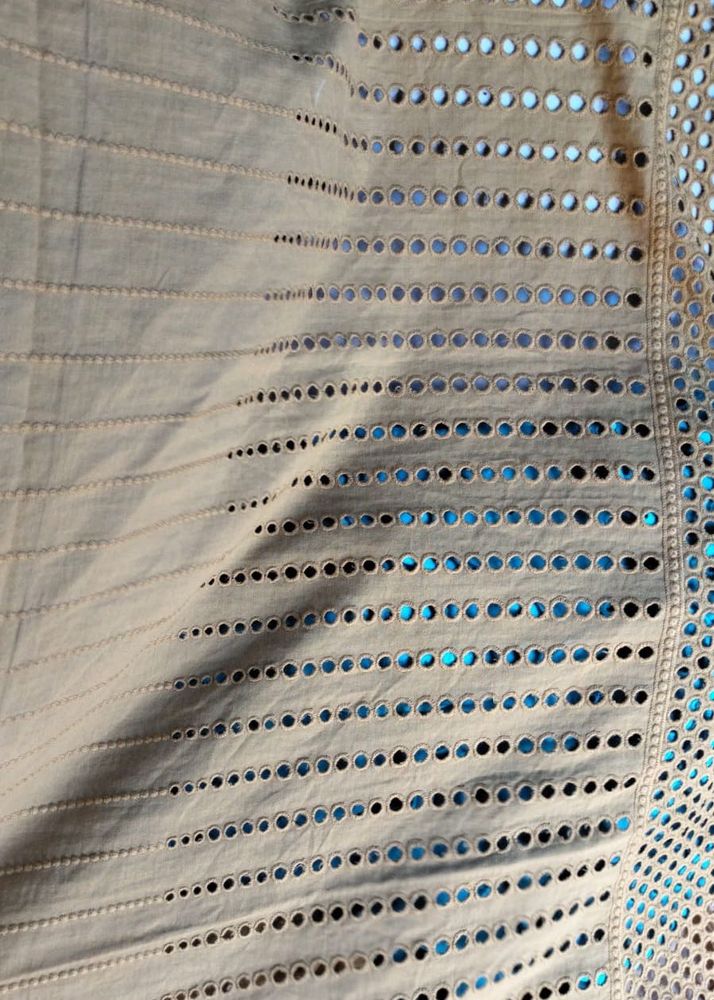 Chikankari Hakoba Fabric