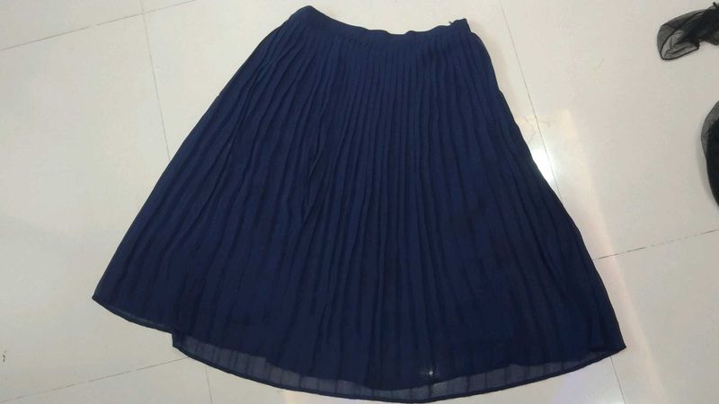Knee Length Pleated Skirt