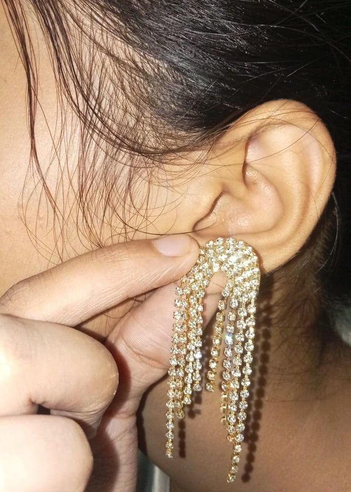 Sparkling stone Dangle Earrings