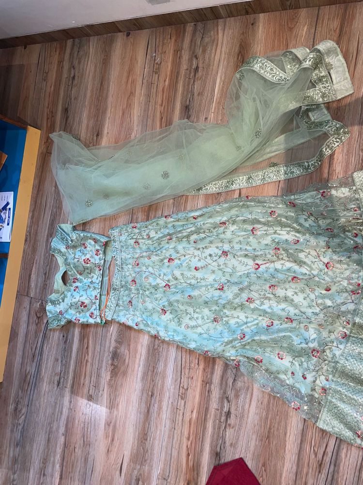 Mint Green Embroidered Lehenga